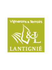 Vigneron : Vignerons Terroirs Lantignié