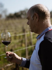  Vigneron : DOMAINE DE L'ENTRE DEUX MONDES