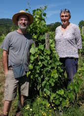 Vigneron : LA CHAMAILLE