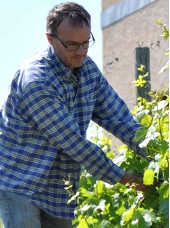  Vigneron : LES VINS DE LA MADONE