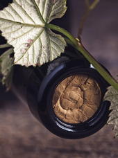 Vigneron : Domaine Ricardelle de Lautrec