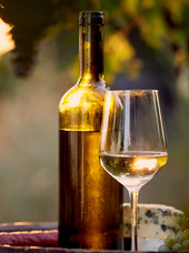 Vigneron : DOMAINE DE L'OBIOU