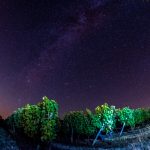 Calendrier lunaire biodynamique
