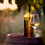 Le vin biodynamique en quelques mots ?