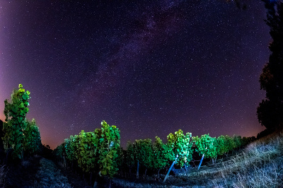 Calendrier lunaire biodynamique