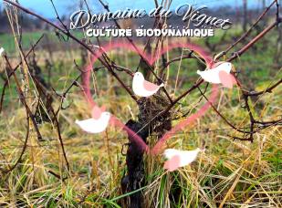 La cuvée Mousseux aromatisé Domaine du Vignet