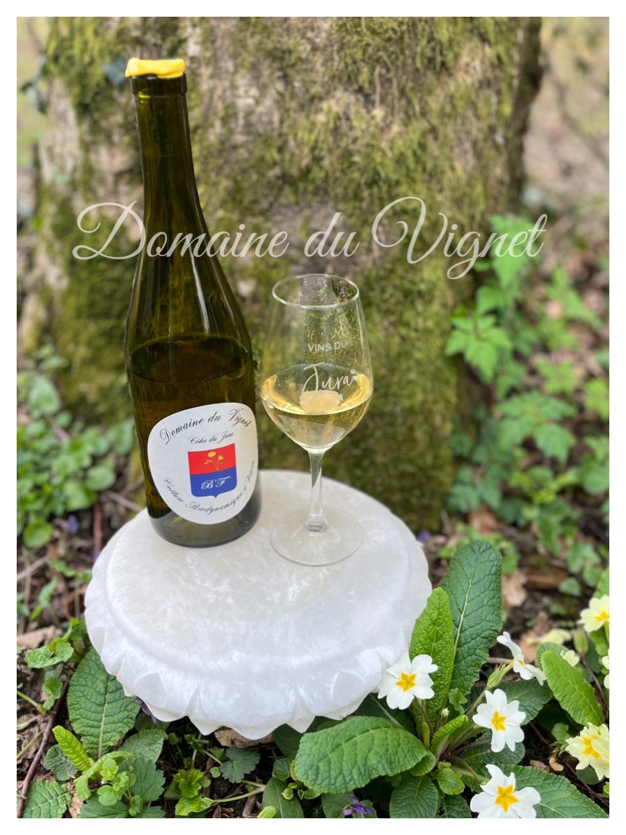 Chardonnay Domaine du Vignet Chardonnay Domaine du Vignet