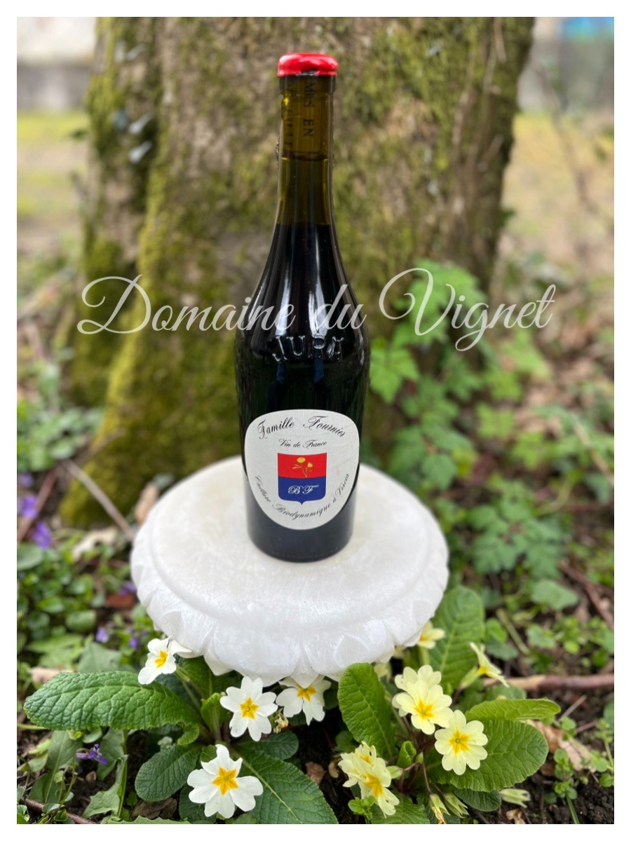 Pinot noir Domaine du Vignet