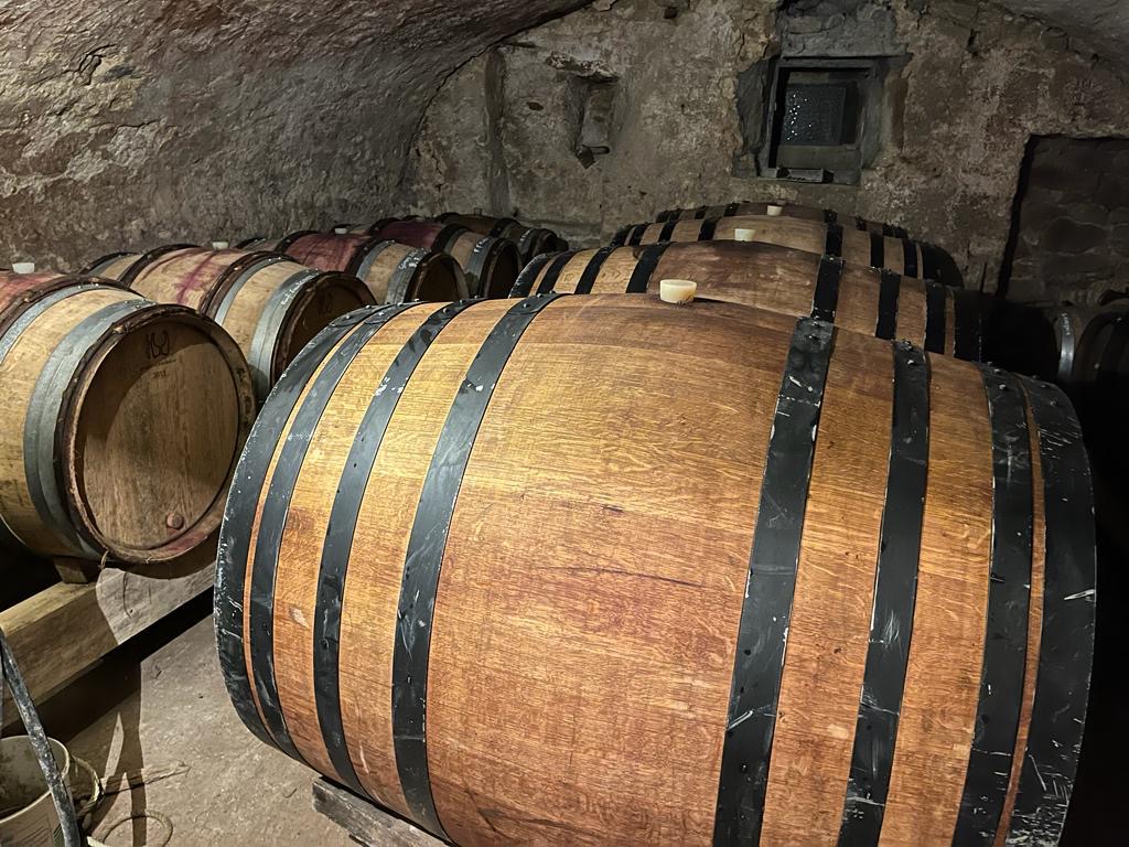 Savagnin & Chardonnay Domaine du Vignet