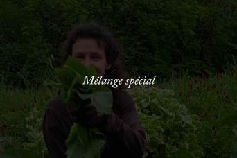 La cuvée Mélanges Été