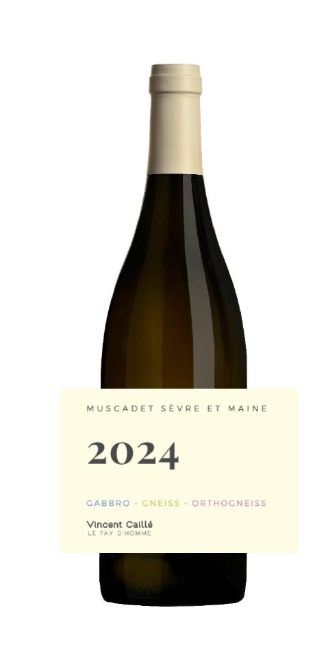 2024 2024