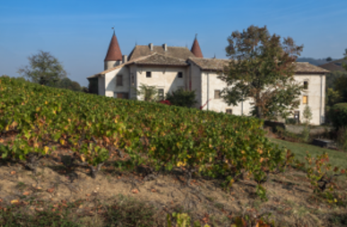 Région viticole : Beaujolais