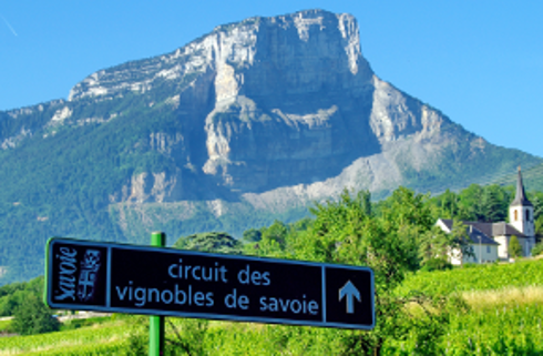 Région viticole : Savoie / Bugey / Isère