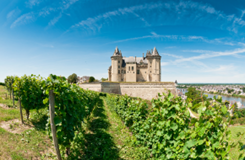 Région viticole : Loire