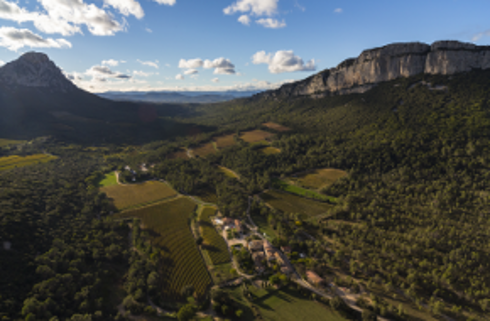 Région viticole : Languedoc-Roussillon