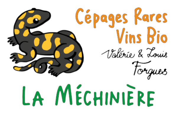Domaine de la Mechinière - AOC Touraine
