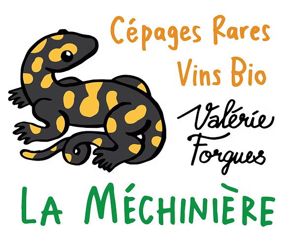 Domaine de la Mechinière - AOC Touraine