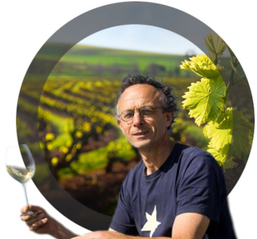 Le FAY D HOMME - vins natures et biodynamique