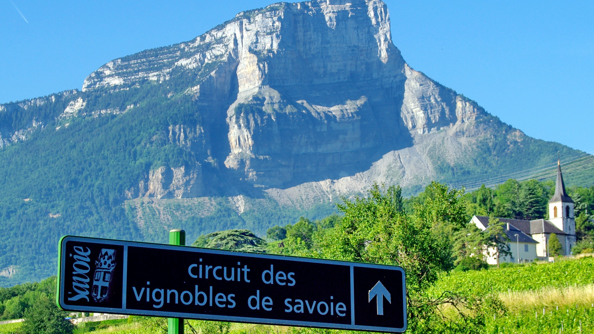Les Vins de Savoie ne connaissent pas la crise : notre sélection