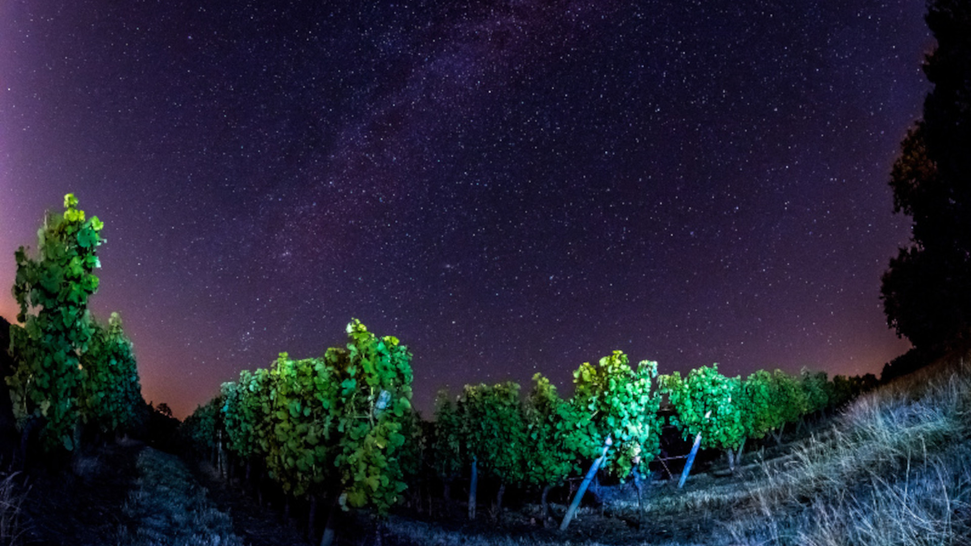 Calendrier lunaire biodynamique