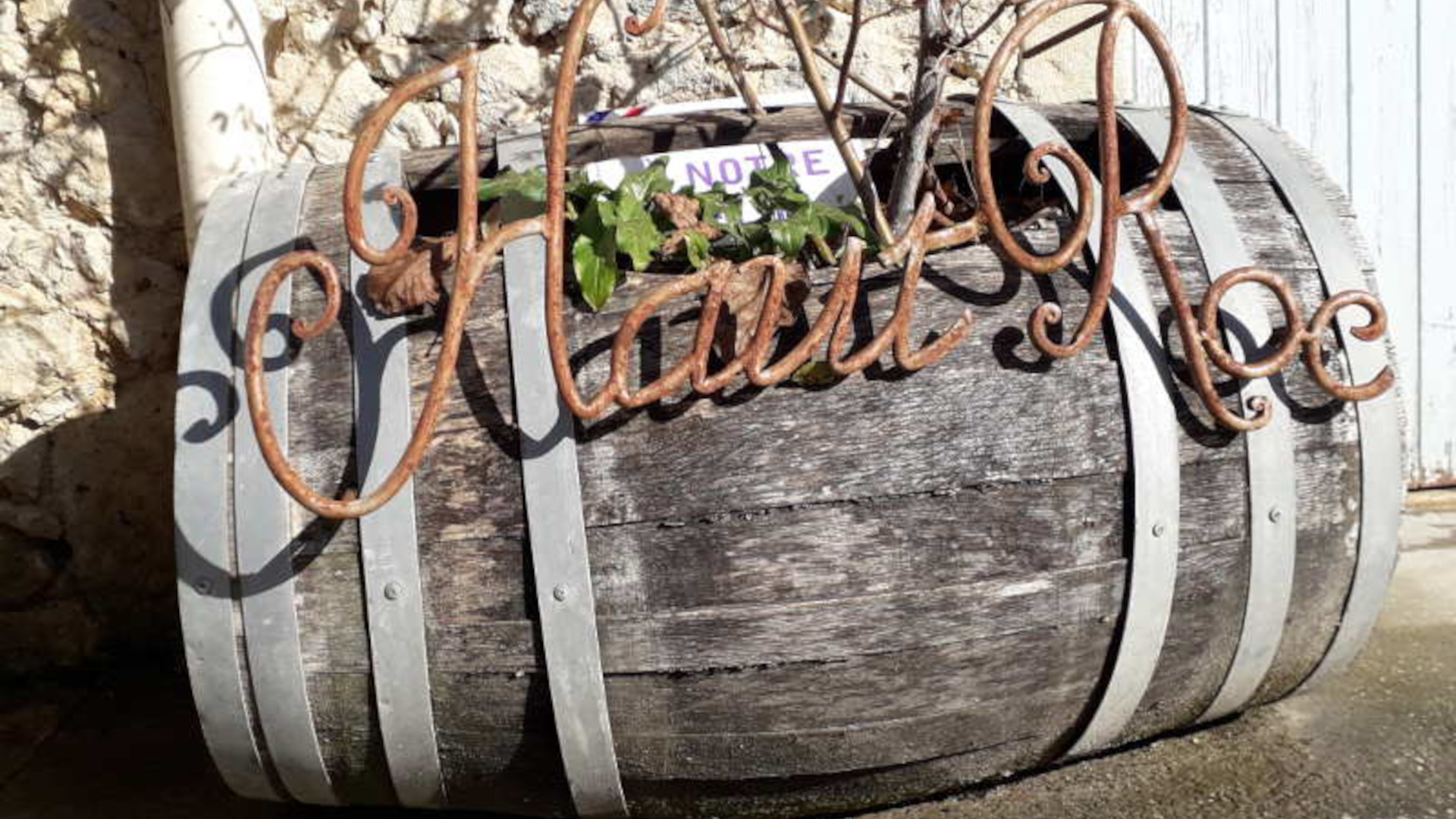 Château Haut Roc : vins biodynamiques de l'Entre Deux Mers à Bordeaux