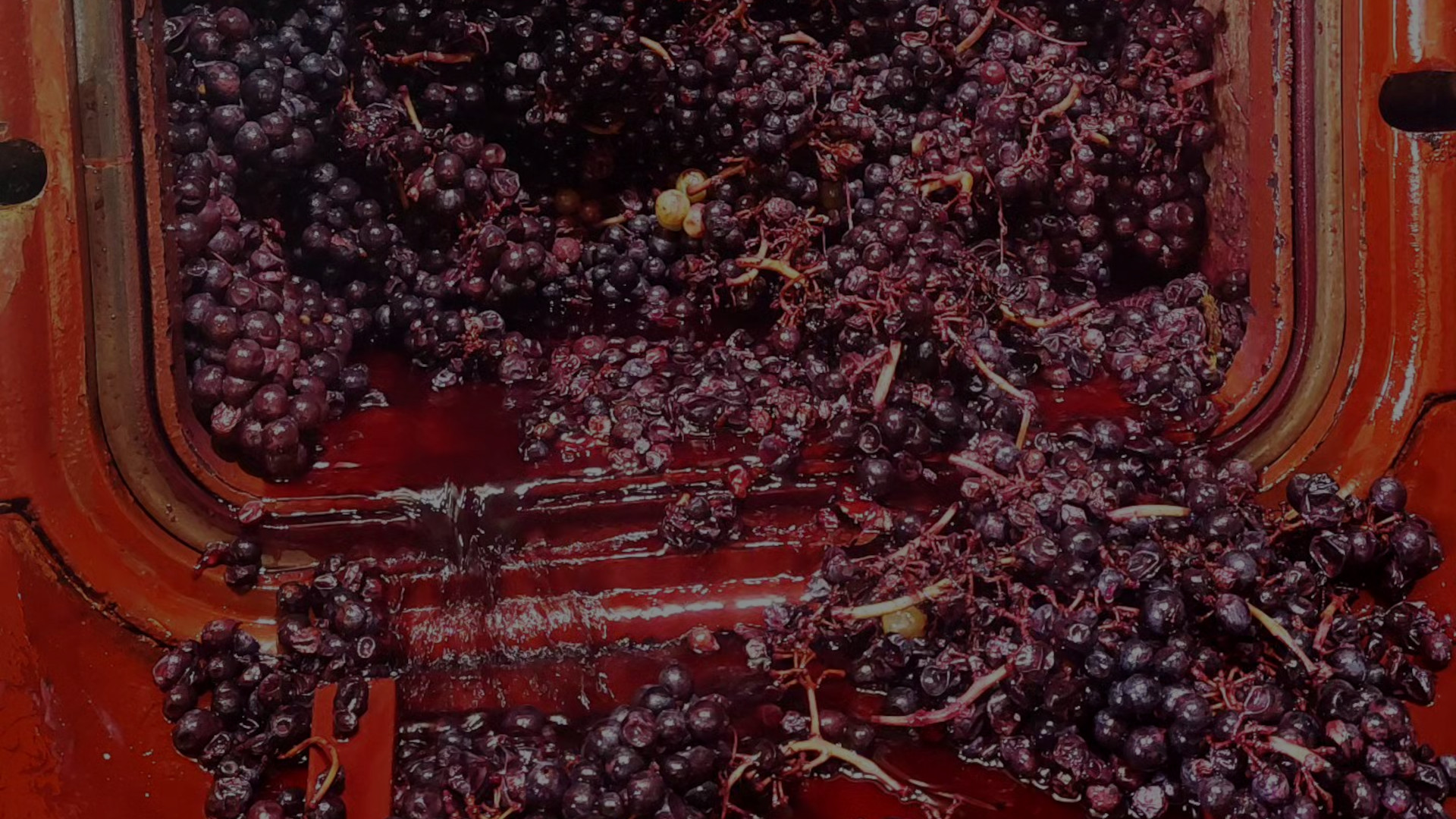 Les arômes variétaux du vin : Thiols Terpènes et Pyrazines