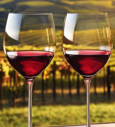 vin-claret-et-vin-clairet