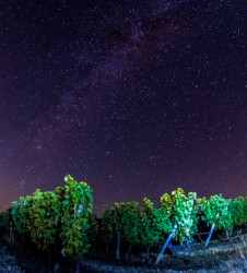 calendrier-lunaire-biodynamique
