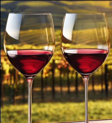 Bordeaux-Vin-clairet-une-solution-pour-redinamiser-cette-region-viticole-en-crise