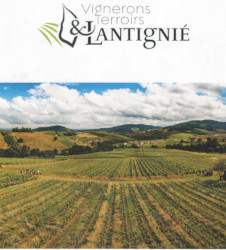 Decouvrez-les-vignerons-engages-du-Cru-Lantignie-en-Beaujolais