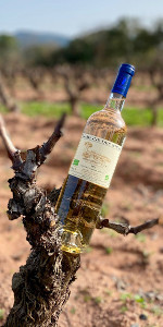 Domaine des Nibas 