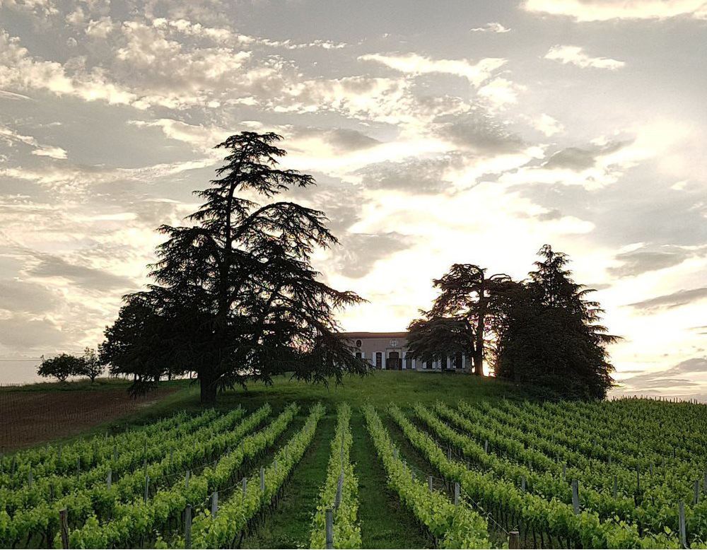 Domaine CHÂTEAU DE BAYLE