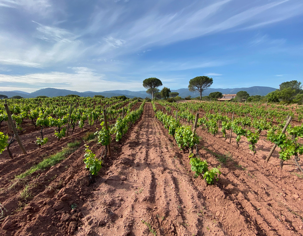 Domaine DOMAINE DES NIBAS