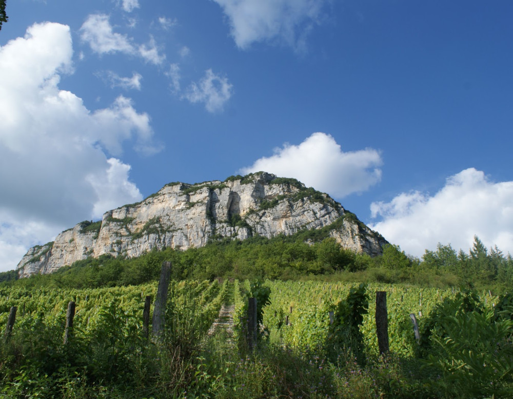 Domaine LES GRANGEONS DE L'ALBARINE