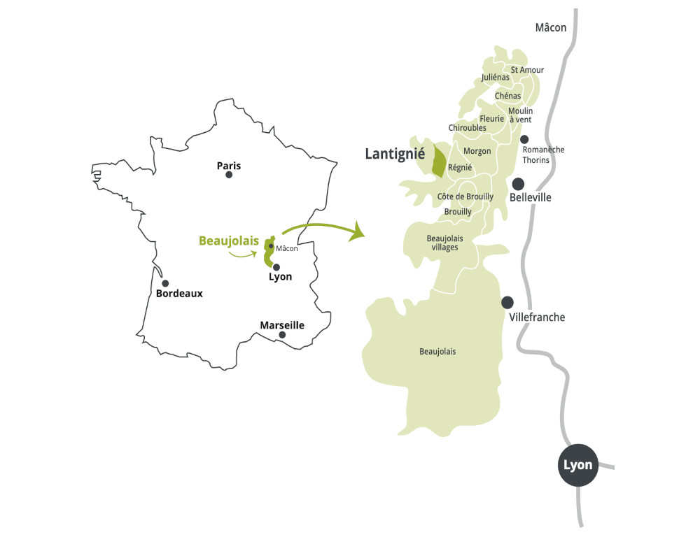 Domaine VIGNERONS TERROIRS LANTIGNIé